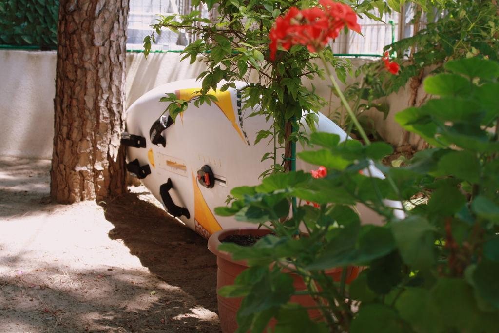 Hotel Princi I Vogel Velipoja Kültér fotó