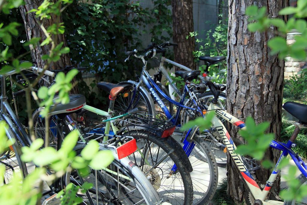 Hotel Princi I Vogel Velipoja Kültér fotó