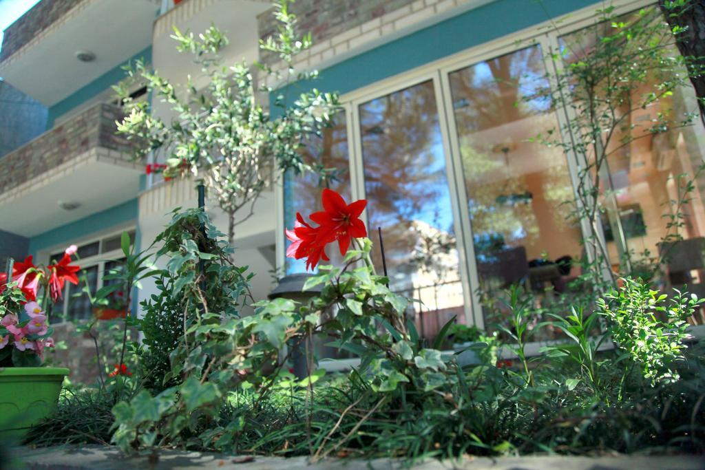 Hotel Princi I Vogel Velipoja Kültér fotó